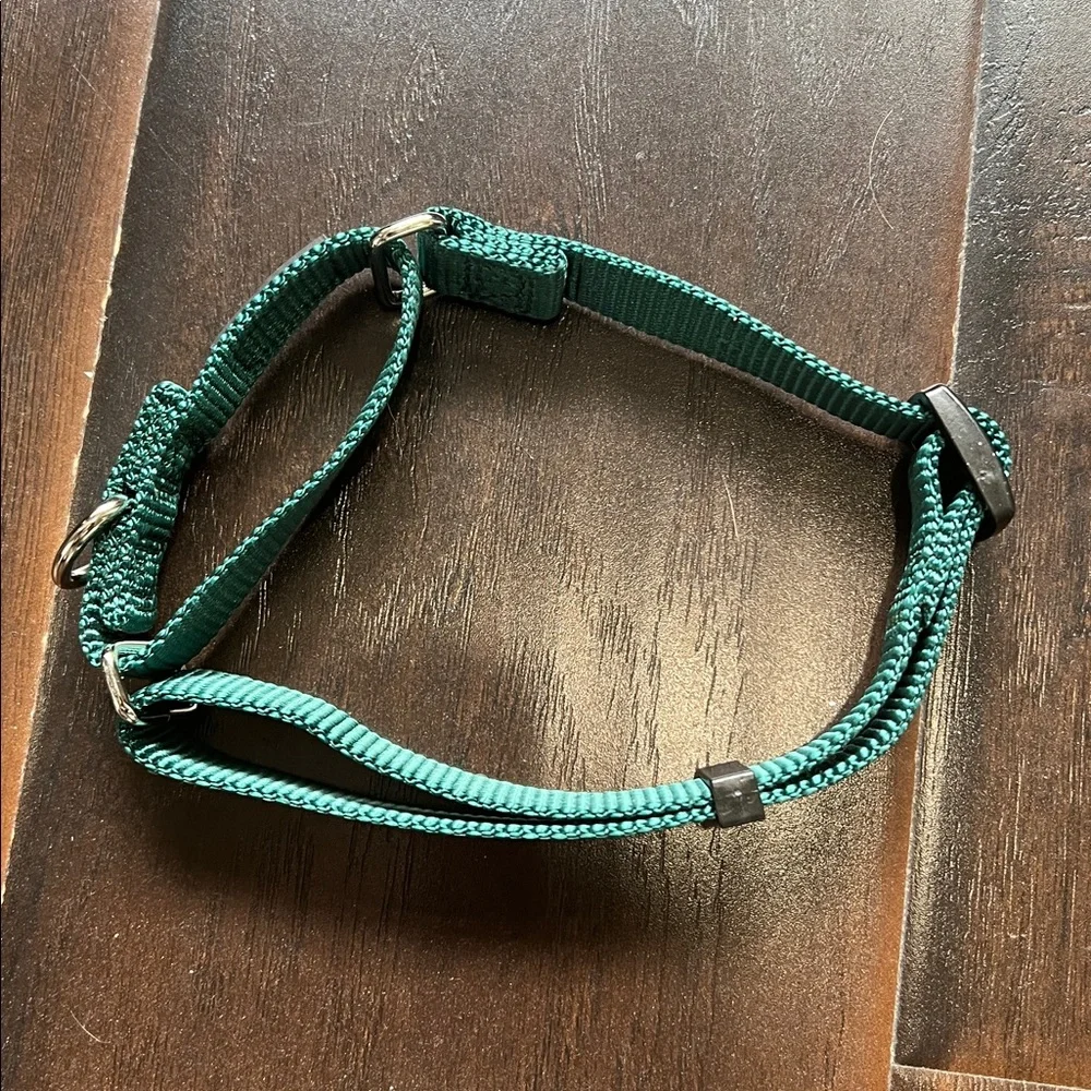 hyhug green martingale